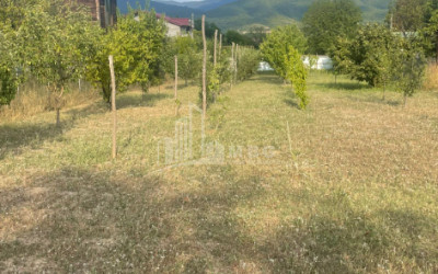 For Sale Land Easter Easter Mtskheta Mtskheta   Mtianeti