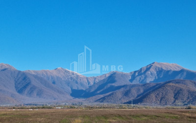 For Sale Land Eniseli Kvareli Kakheti
