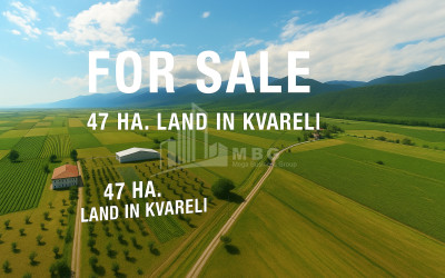 Продается Земля Шильда Кварели Кахети