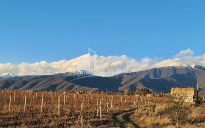 For Sale Land Shilda Kvareli Kakheti