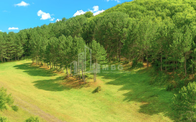 Продается Земля Городок Сурами Хашури Шида Картли