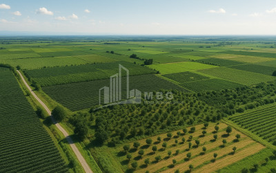 Продается Земля Кварели Кахети