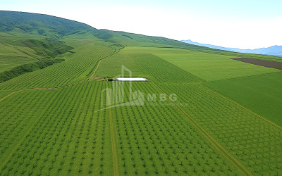 Продается Земля ли Каспси Шида Картли