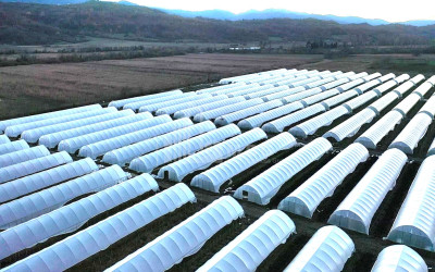 იყიდება მიწის ნაკვეთი ვანი იმერეთი