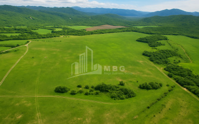 Продается Земля Гомбори Сагареджо Кахети