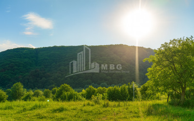 იყიდება მიწის ნაკვეთი ორხევი თიანეთი მცხეთა   მთიანეთი