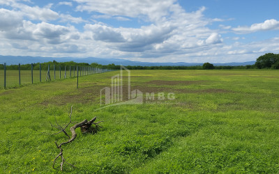 For Sale Land Vartsikhe Baghdati Imereti