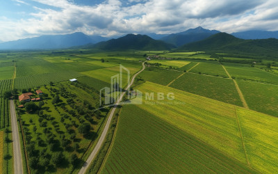 Продается Земля Кварели Кахети