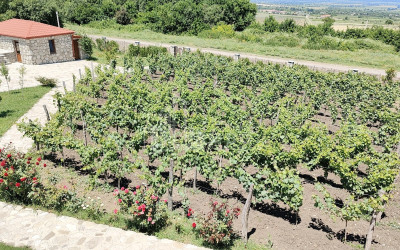 Продается Коммерческий Телави Кахети