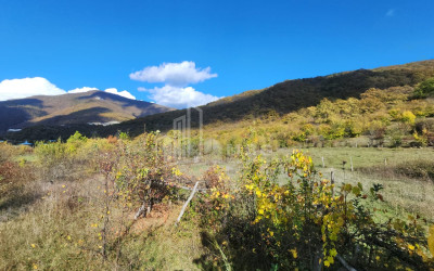 Продается Земля Деревня Чинти Душети Мцхета   Мтианети