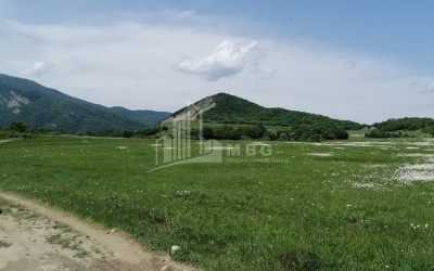 Продается Земля Гомбори Сагареджо Кахети