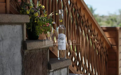 Продается Коммерческий Хашми Сагареджо Кахети