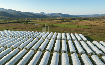 იყიდება მიწის ნაკვეთი ვანი იმერეთი