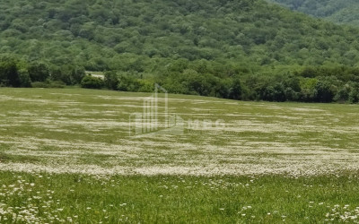 Продается Земля Гомбори Сагареджо Кахети