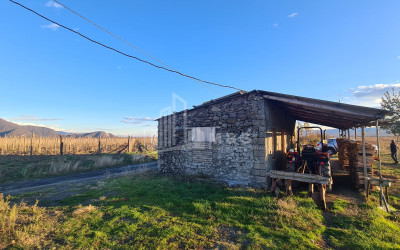 For Sale Land Shilda Kvareli Kakheti