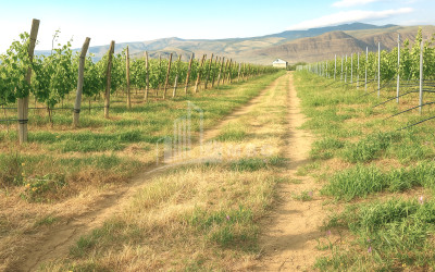 იყიდება კომერციული ფართი დოესი კასპი შიდა ქართლი