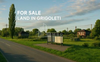 For Sale Land Kvemo Shukhuti Lanchkhuti Municipalities of Guria