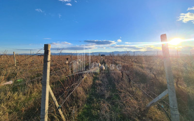 For Sale Land Shilda Kvareli Kakheti