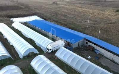 იყიდება მიწის ნაკვეთი ვანი იმერეთი