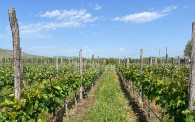 იყიდება კომერციული ფართი დოესი კასპი შიდა ქართლი