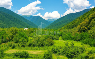Продается Коммерческий Кварели Кахети