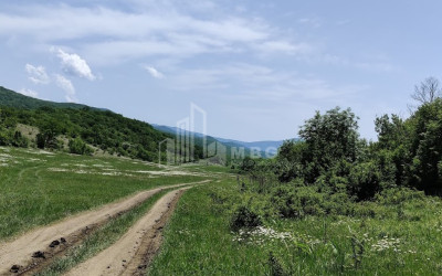 Продается Земля Гомбори Сагареджо Кахети