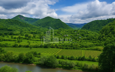 For Sale Land Baji Ambrolauri Racha   Lechxumi Kvemo Svaneti