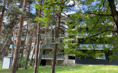 For Sale Flat Manglisi Tetritskaro Kvemo Kartli