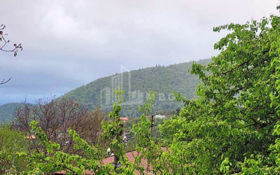 Продается Дом Вилла Квишхети Хашури Шида Картли