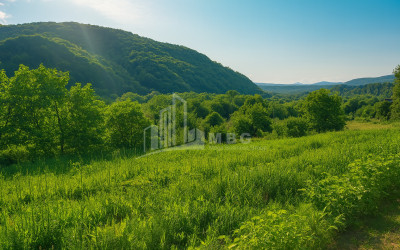 იყიდება მიწის ნაკვეთი ორხევი თიანეთი მცხეთა   მთიანეთი