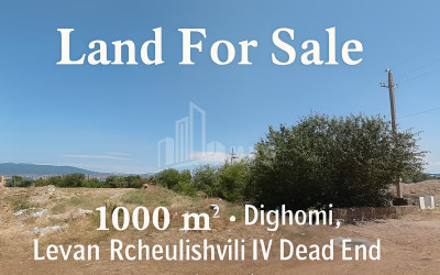 For Sale Land L. Rcheulishvili Street Village Dighomi Saburtalo District Tbilisi