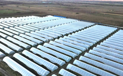 იყიდება მიწის ნაკვეთი ვანი იმერეთი