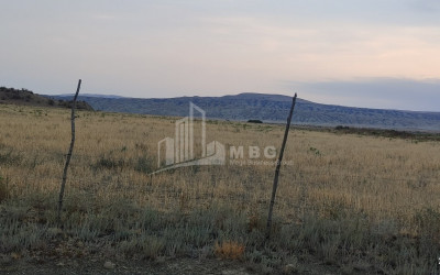 Продается Земля Квемо Бодбе Сигнаgи Кахети