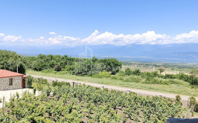 Продается Коммерческий Телави Кахети