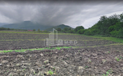 For Sale Land Kvareli Kakheti