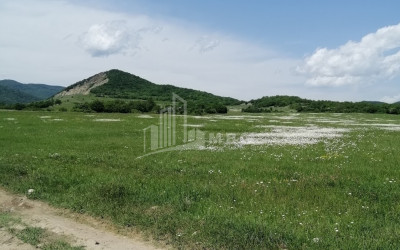 Продается Земля Гомбори Сагареджо Кахети