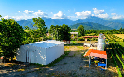 For Sale Commercial Shilda Kvareli Kakheti