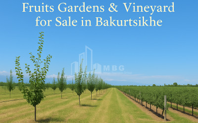 Продается Земля Бакурцихе Гурджаани Кахети