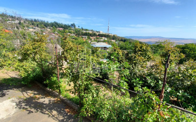 Продается Земля Окрокана Мтацминда Район Тбилиси