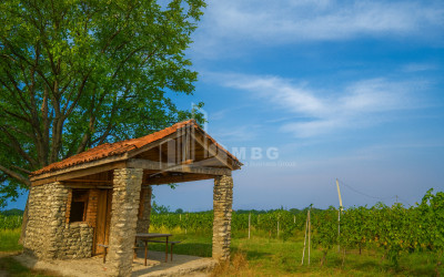 For Sale Land Tsinandali Telavi Kakheti