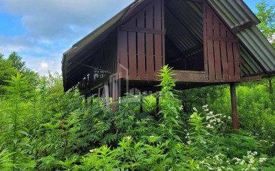 For Sale Land Chibati village Lanchkhuti Municipalities of Guria