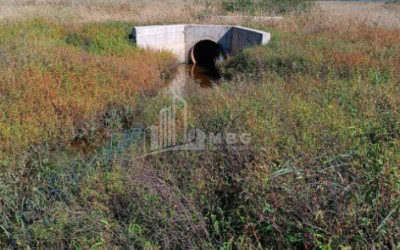 იყიდება მიწის ნაკვეთი სენაკი სამეგრელო   ზემო სვანეთი