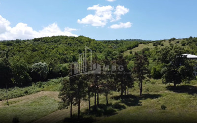 For Sale Commercial Atskuri Akhmeta Kakheti