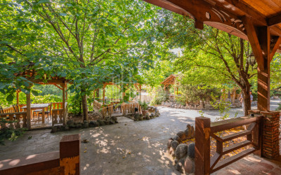 For Sale Commercial Tsitsamuri Mtskheta Mtskheta   Mtianeti