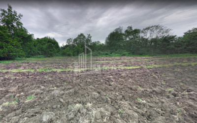 For Sale Land Kvareli Kakheti