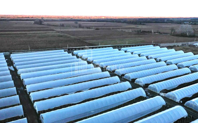 იყიდება მიწის ნაკვეთი ვანი იმერეთი