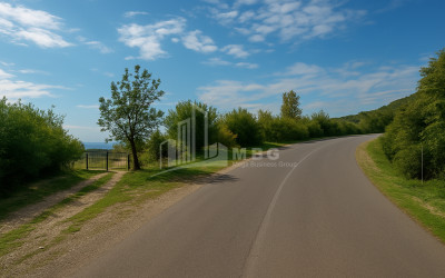 იყიდება მიწის ნაკვეთი სიღნაღი კახეთი