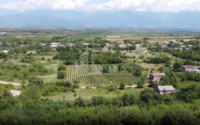 For Sale Commercial Atskuri Akhmeta Kakheti