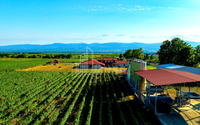 For Sale Commercial Shilda Kvareli Kakheti