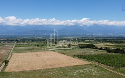 Продается Коммерческий Телави Кахети